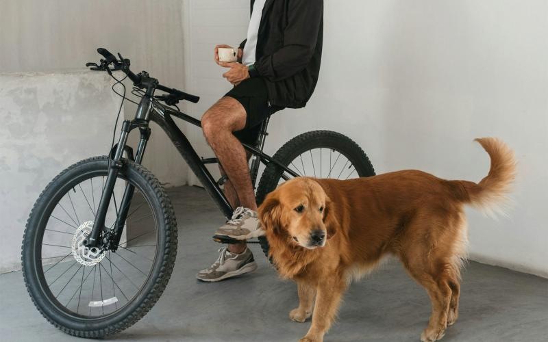 a man sitting on a bike next to a dog